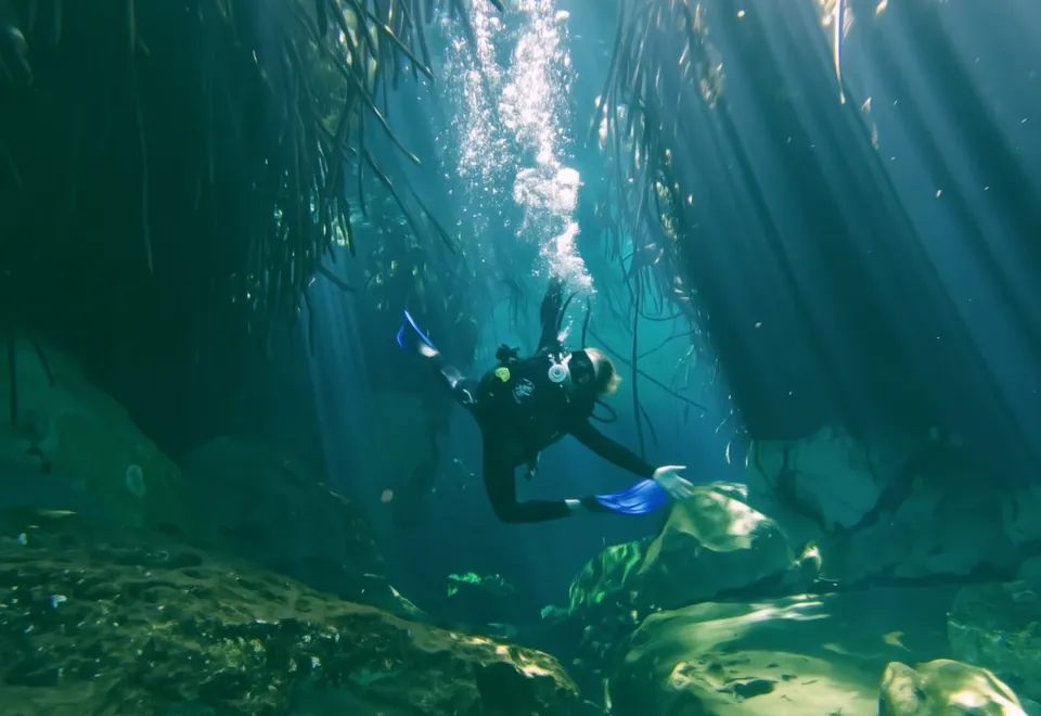 A diver in the shafts of light falling through the roots of a Tulum cenote, above the rocks