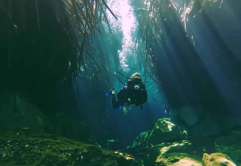 A diver swimming towards the camera through roots and shafts of light in a Tulum cenote