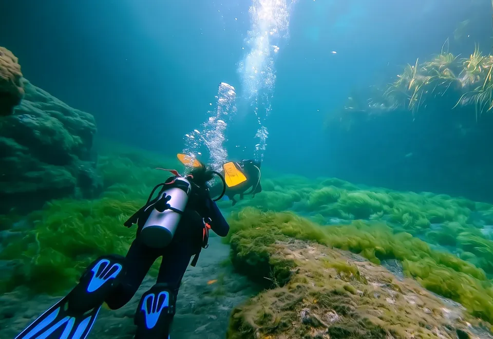 Two divers over the green freshwater of Casa Cenote near Tulum
