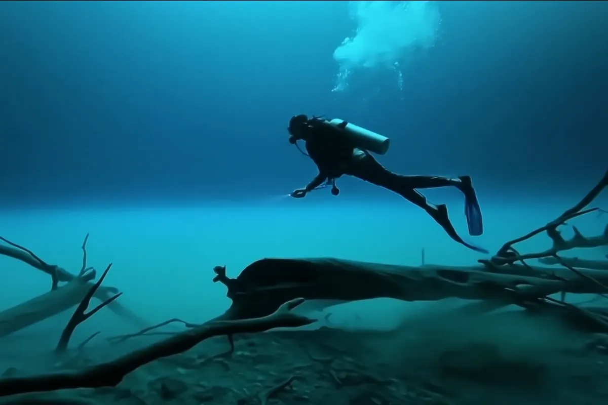 A diver gliding above the hydrogen sulphide cloud of Cenote Angelita, among dead branches