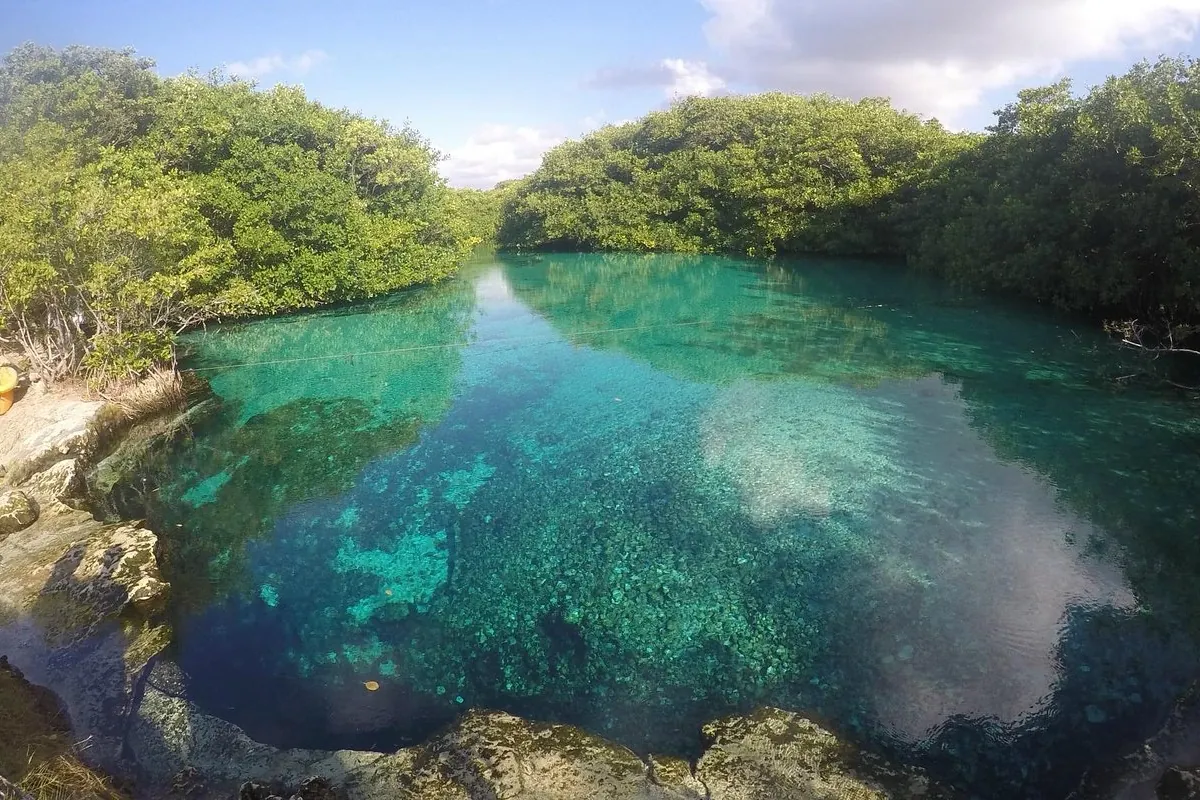 The clear turquoise water of Casa Cenote, ringed by mangrove, near Tulum