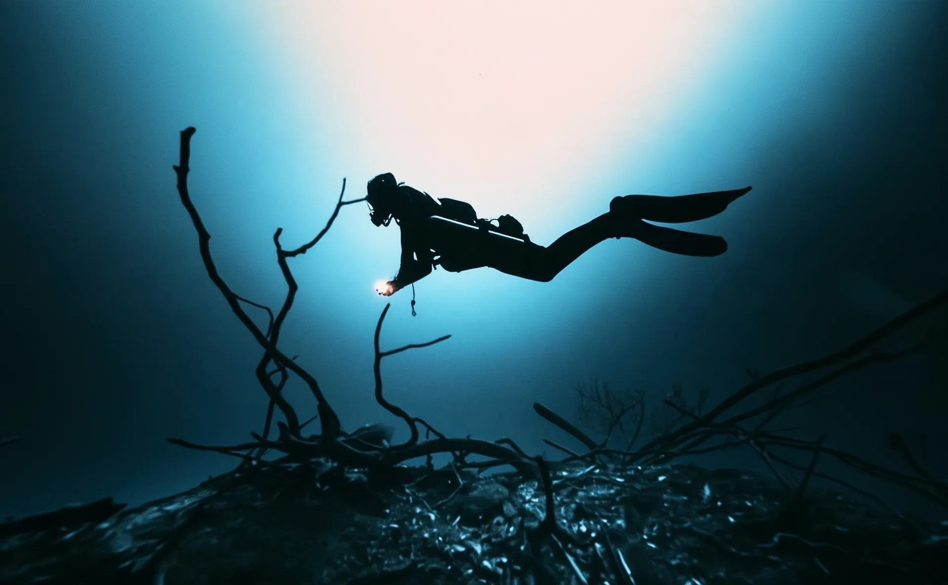 A diver silhouetted against the turquoise glow of a Tulum cenote, among bare branches rising through the water